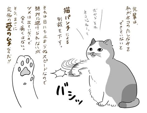 √100以上 猫 パンチ イラスト 259722 パンチ 猫 イラスト Blogjpmaeqd6q