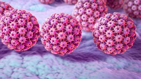 Humane Papillomviren Hpv Infektion Symptome Therapie News Von Welt