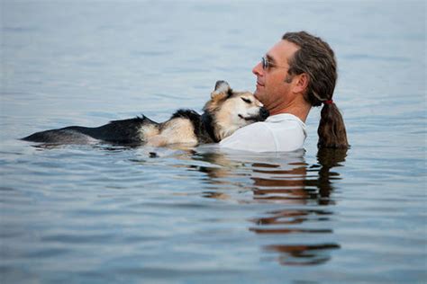 Heartwarming Pictures That Will Restore Your Faith In Humanity Pics