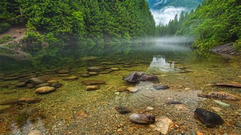 Lake Trees Canada Winter Coolwallpapers Me