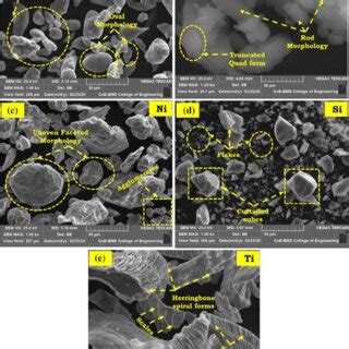 SEM Morphology Of As Received Metal Powders A Al B Li C Ni D Si And