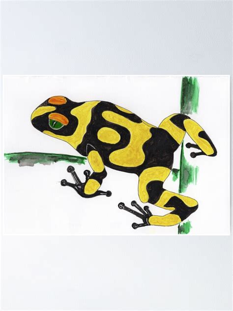 Yellow Poison Dart Frog Poster For Sale By Salishseaart Redbubble