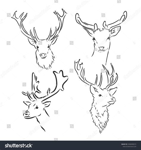 One Line Design Silhouette Deerhand Drawn Stock Vector Royalty Free