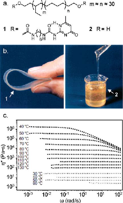 Supramolecular Polymerizations And Main Chain Supramolecular Polymers