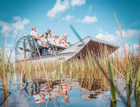 Everglades National Park Airboat Tour And Wildlife Show GetYourGuide