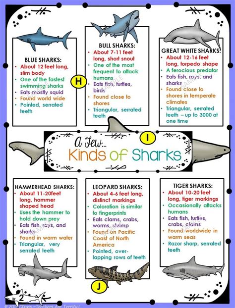 Its Shark Week Shark Activities Shark Facts Shark