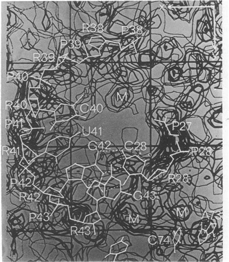 A Composite Of Six Sections Of The Monoclinic Electron Density Map 1