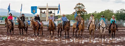 Panaewa Rodeo February Mckeand