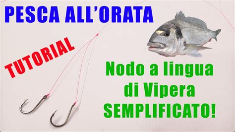 Tutorial Nodo A Lingua Di Vipera Accessibile A Tutti Ecco Come Farlo