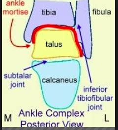 Biomechanics Unit Flashcards Quizlet