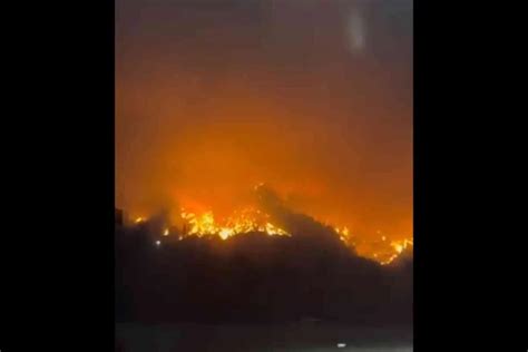 Escenas De P Nico En Rodas Por Un Gran Incendio Forestal Que Obliga A