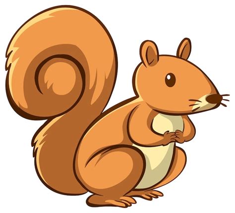 Squirrel Cartoon Illustration Images - Free Download on Freepik