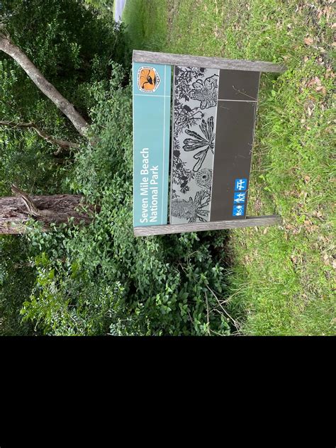 Accessible Beach In New South Wales: Seven Mile Beach | Wheeleasy