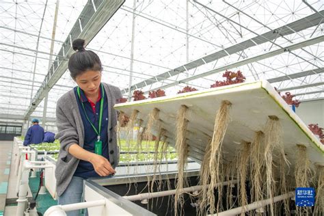 新華全媒 丨現代農業産業園裏感受“智慧農業” 新華網