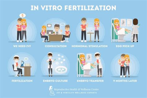 In-Vitro Fertilization Boca Raton & Aventura, FL | IVF Treatment