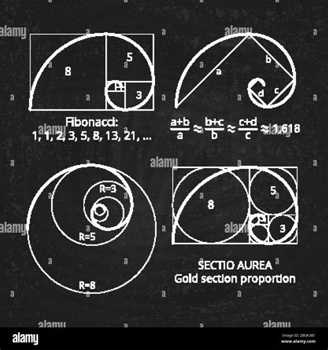 Fibonacci Spiral Golden Ratio