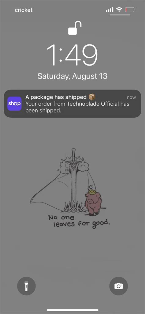 My Merch has finally shipped : r/Technoblade