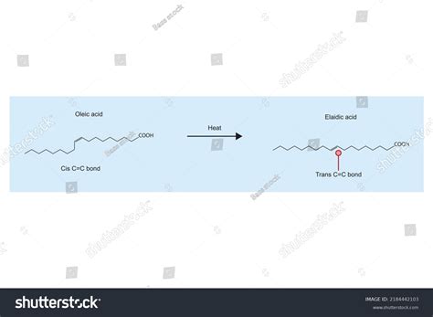 Heating Reaction Oleic Acid Elaidic Acid Immagine Vettoriale Stock