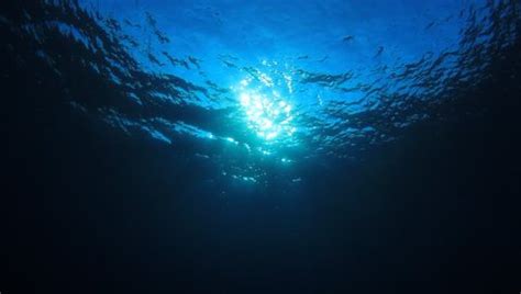 Sea Deep Ocean Underwater Coral Reef Stock Photo 226506523 | Shutterstock