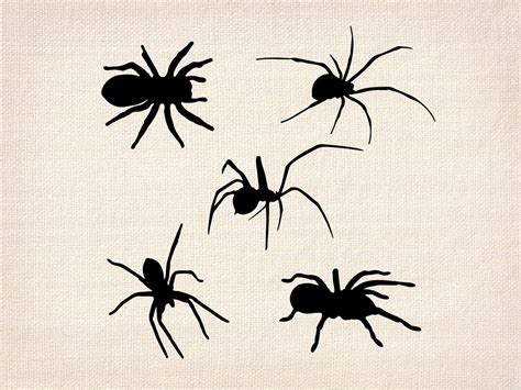 Spider Silhouette Svg Vector Clipart Spider Insect Shape Cut Files