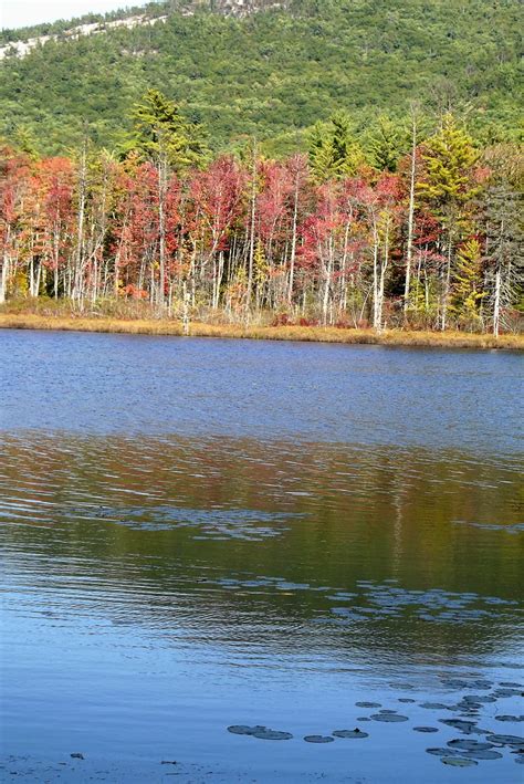 Pudding Pond In Autumn Stanley Zimny Thank You For 64 Million Views Flickr