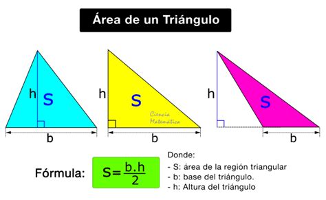 🥇 Área De Un Triángulo 【fórmulas Y Ejercicios Resueltos】