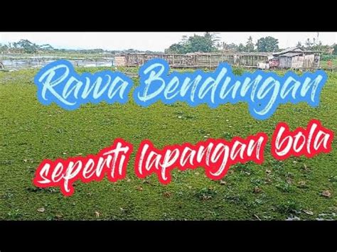 Rawa Seperti Lapangan Bola Mancing Di Rawa Dapat Nila Babon YouTube