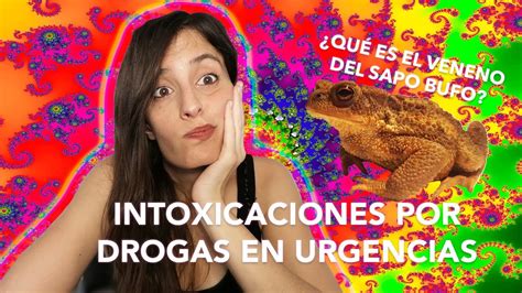 ¿cómo Actúa El Veneno De Sapo Bufo O Molécula De Dios Intoxicaciones