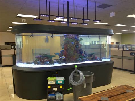 Aquarium Maintenance Fishtank Co