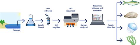 Environmental DNA EDNA Gokulam Seek IAS