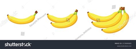 Set Different Types Bananas Isolated On Stock Vector Royalty Free