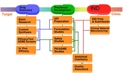 Drug Development Stages Diagram