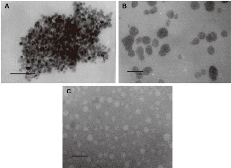 High Molecular Weight Chitosan Derivative Polymeric Micelles