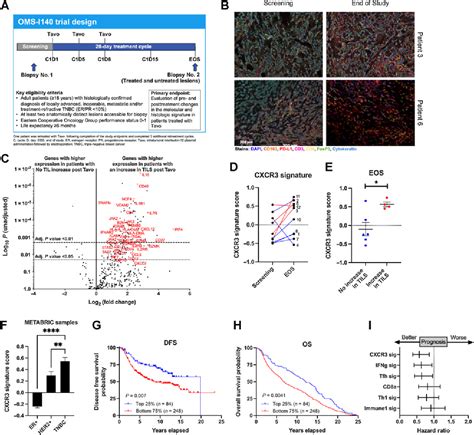 Figure From Intratumoral Plasmid Il Expands Cd T Cells And