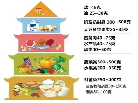 大学生饮食与运动 西安翻译学院体育学院