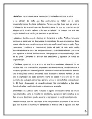 División celular PDF