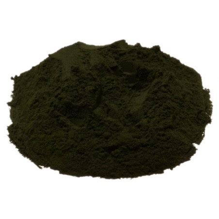 Chlorella Powder | Bulkfoods.com