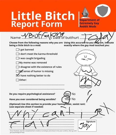 Little Bitch Department I Of Report Form Extremely Gay Reddit Mods
