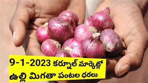 Kurnool Market Onion Price Youtube