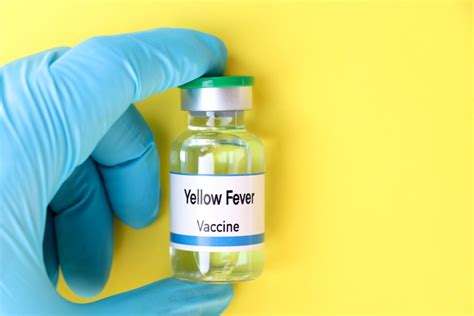 Yellow Fever Vaccine: Importance and Recommendations for Summer Travel