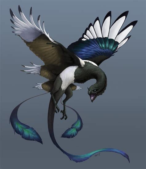 Magpie Wyvern Imaginarymonsters Cute Fantasy Creatures Fantasy