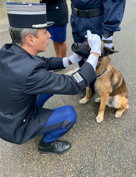 Gendarmerie De L Essonne On Twitter C R Monie Ce Matin A Eu Lieu L