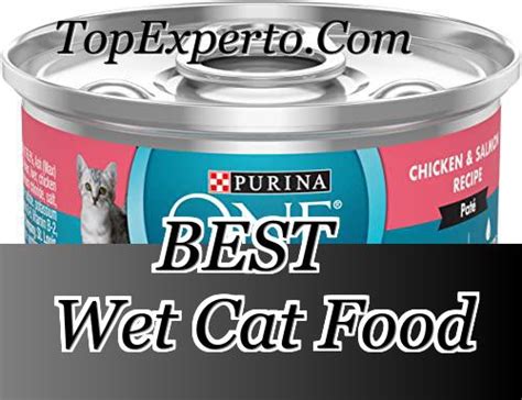 10 Best Wet Cat Food 2020 Reviews And Ratings