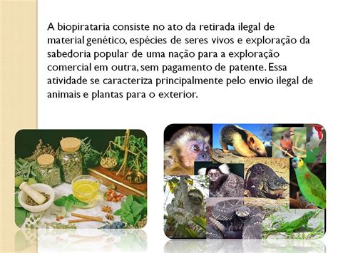 Blog Da Prof Leila De Geografia Ceag Ano Biopirataria