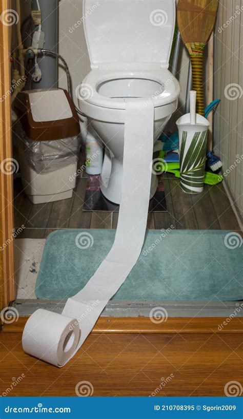 Roll Of White Toilet Paper Rolled Out Of Home Toilet Stock Image