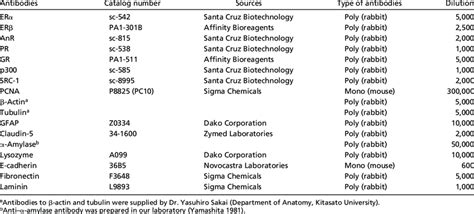 Primary Antibodies Used Download Table