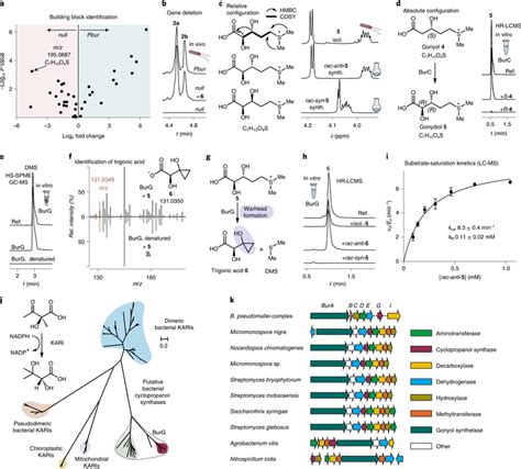 Substrate Identification And Reconstitution Of Enzymatic Cyclopropanol