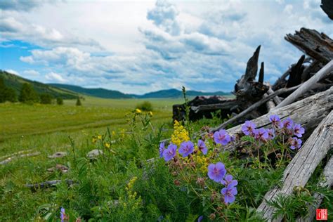 Altai Tavan Bogd Tour In Western Mongolia