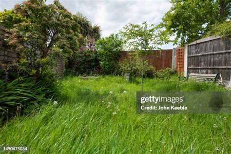 yard long stock  high res pictures  images getty images
