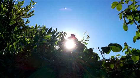 Clima Soleado Y Vientos Fuertes Se Espera En Nicaragua